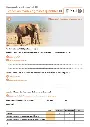 calculs-pratiques-au-ce1-situations-concretes-et-observations-de-lenvironnement (3).webp
