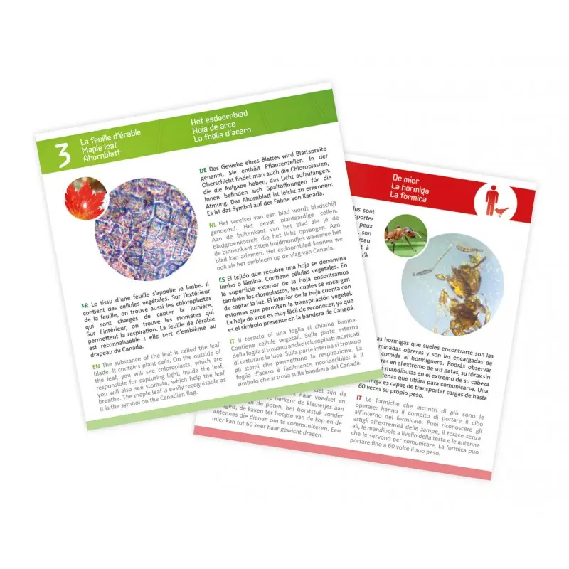 lames-pour-microscope (2).webp