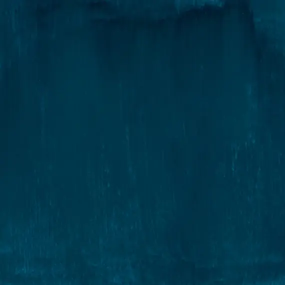 ecola-5087.webp