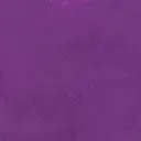 ecola-5367.webp