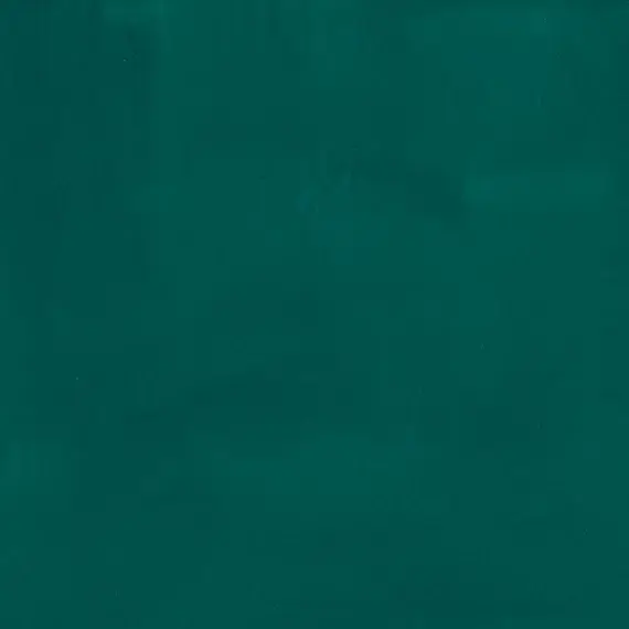 ecola_6027.webp
