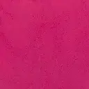 ecola_3597.webp