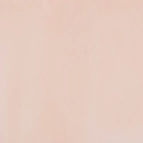 ecola_3747.webp