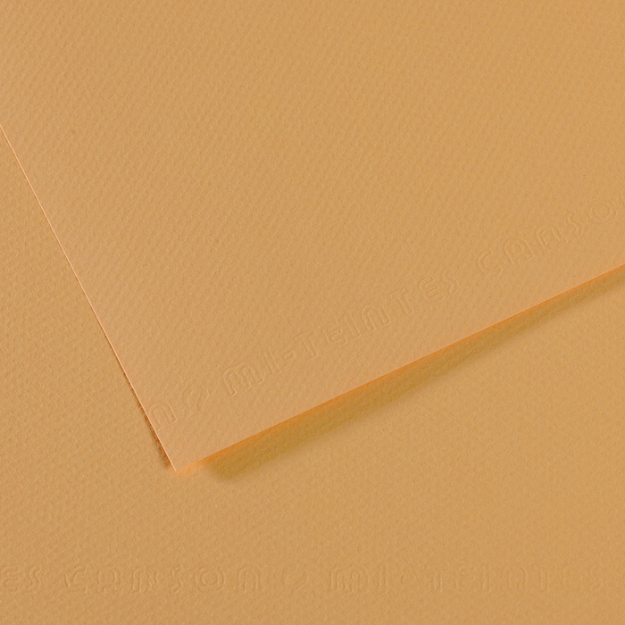 CANSON MI-TEINTE HEMP PAPER