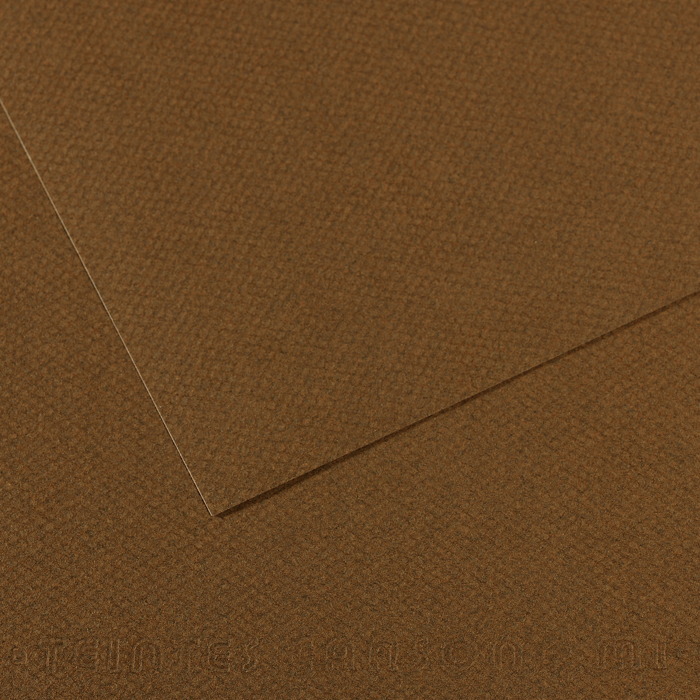 PAPIER CANSON MI-TEINTE MARRON