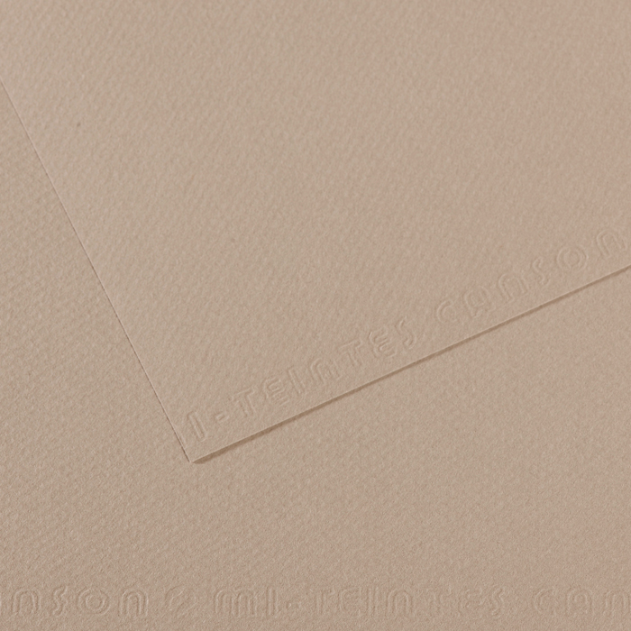 PAPIER CANSON MI-TEINTE GRIS FLANEL