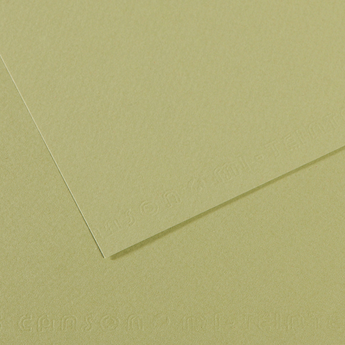 CANSON MI-TEINTE ALMOND GREEN PAPER