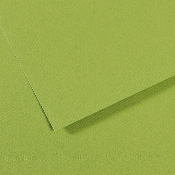 CANSON MI-TEINTE APFELGRÜNES PAPIER