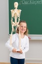 SKELET 85CM