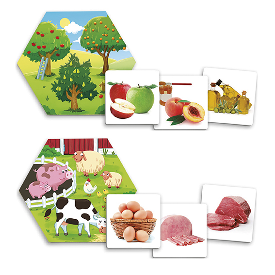 WHERE DOES FOOD COME FROM?