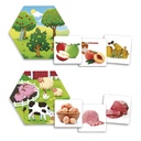 WHERE DOES FOOD COME FROM?