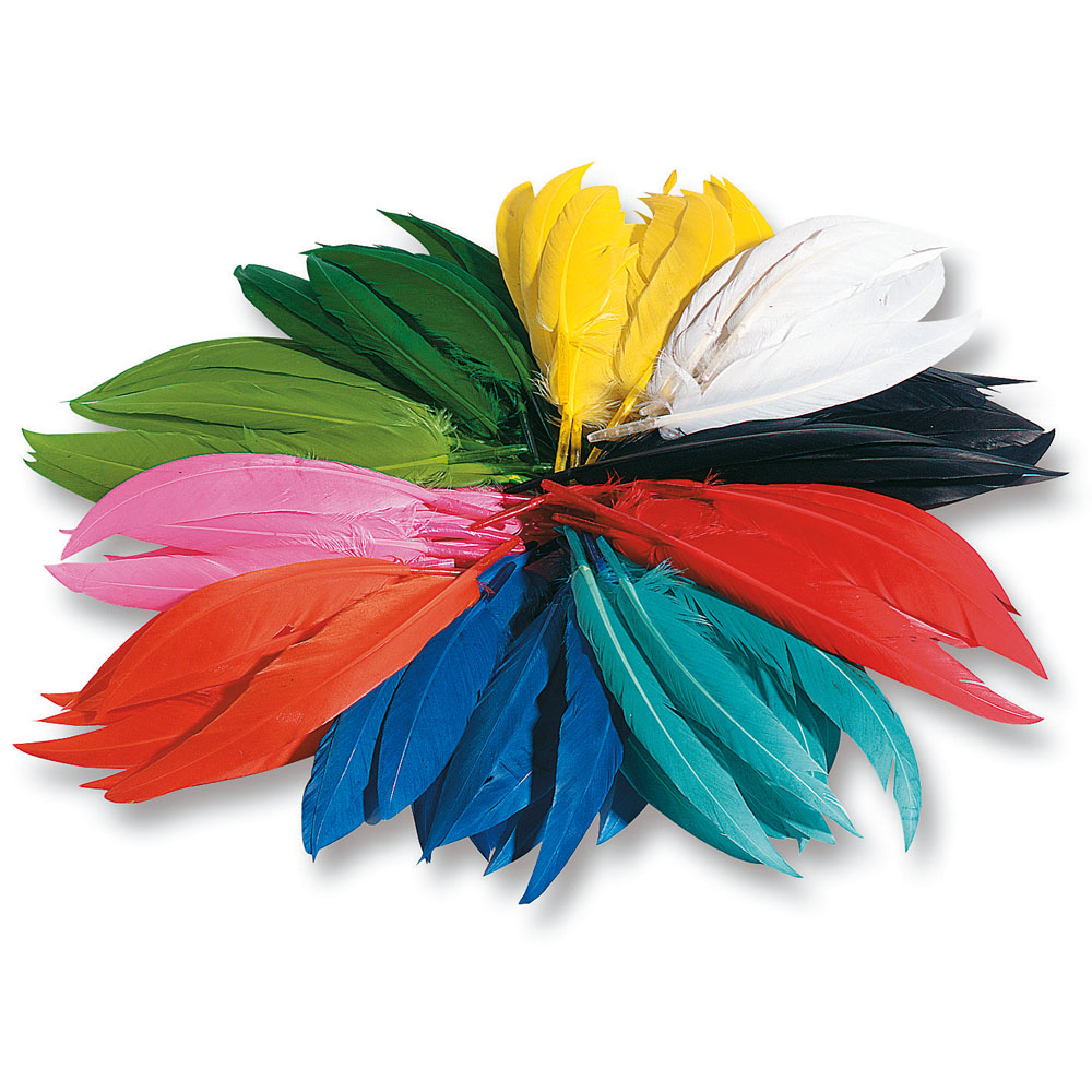 INDIAN FEATHERS 10 TO 20CM, 100GR