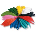 INDISCHE VEREN 10 TOT 20 CM, 100 GR