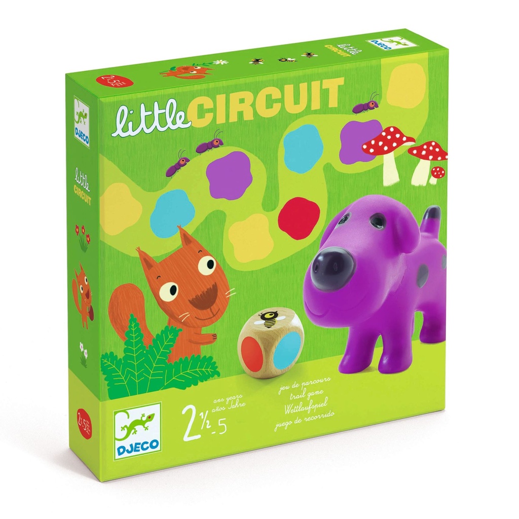 KLEIN CIRCUIT