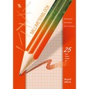 A4 GRAPH PAD, 25 SHEETS