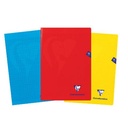 CLAIREFONTAINE A4 NOTITIEBOEK, 10 MM GEREGELD, 120 PAGINA'S