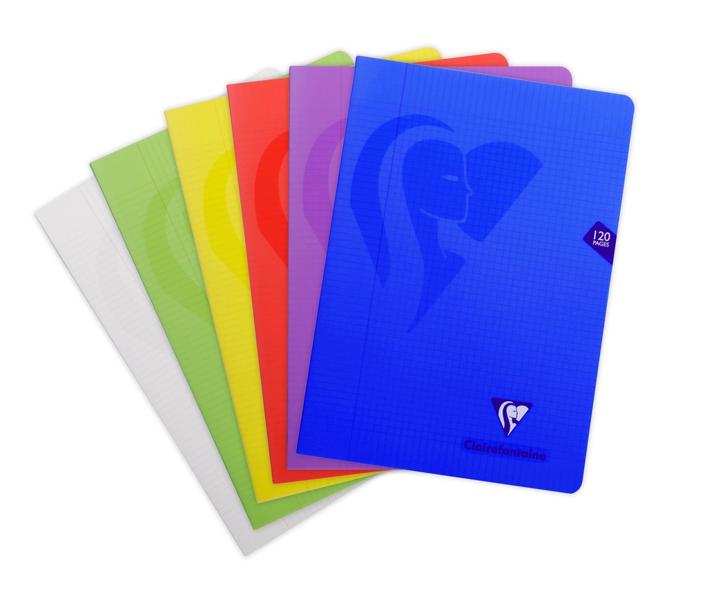 CLAIREFONTAINE A4 NOTITIEBOEK, 5 MM GERAAMD, 120 PAGINA'S.
