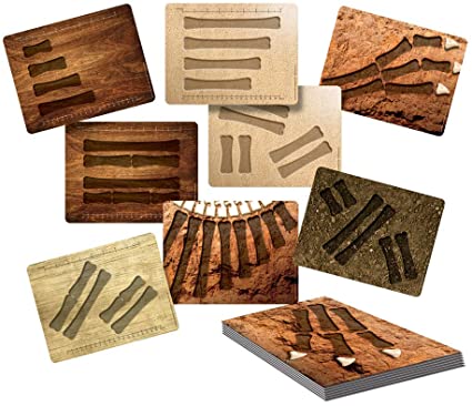 ACTIVITY CARDS, DINOS BONES