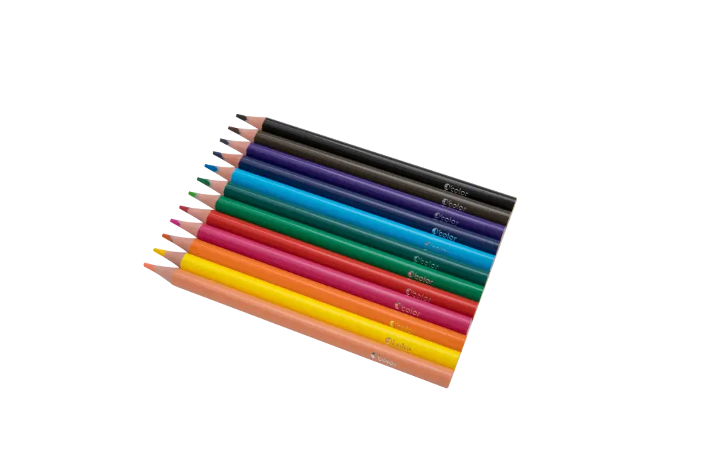 CRAYONS TRIANGULAIRES JUMBO SANS BOIS, ÉTUI DE 12