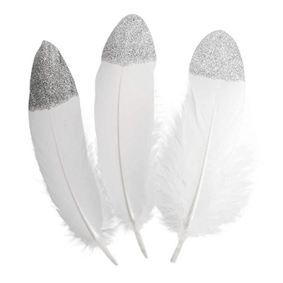 PLUMES À BOUT ARGENTÉ, LE SACHET DE 10