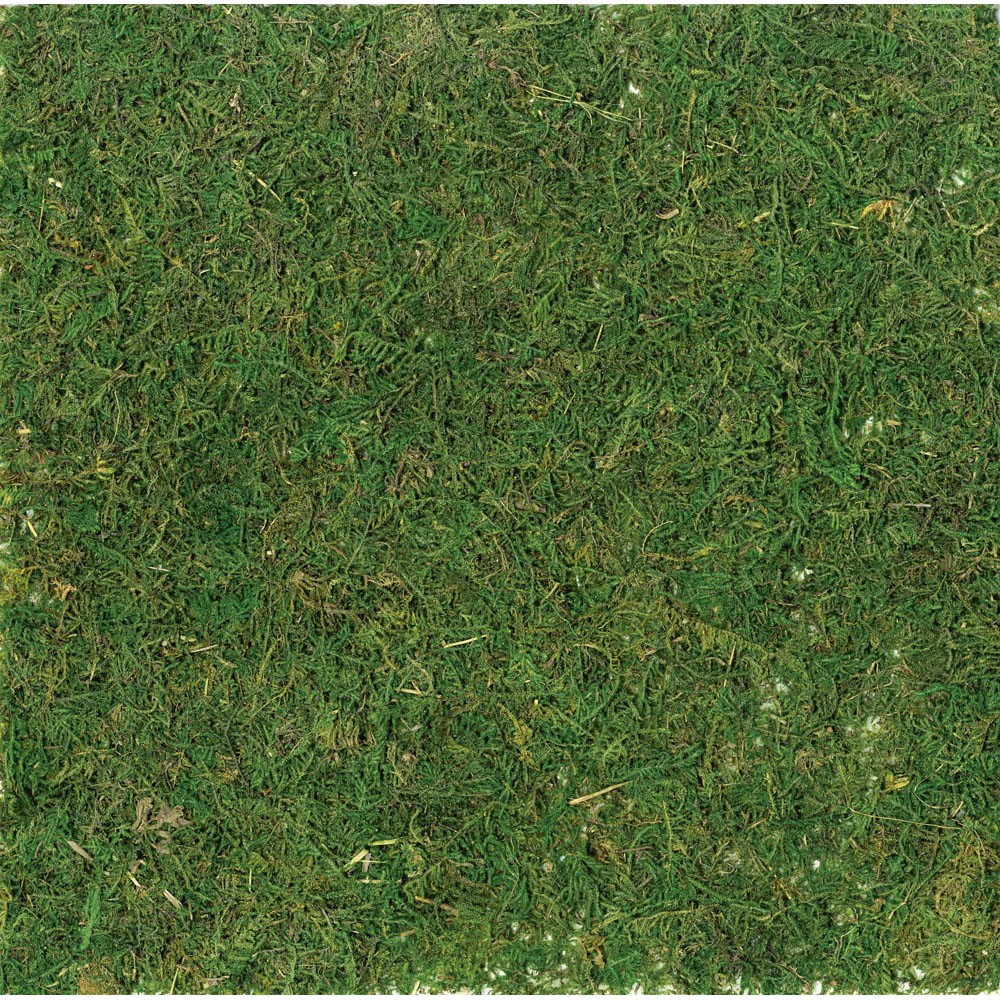 Grasquadrat, 30x30 cm