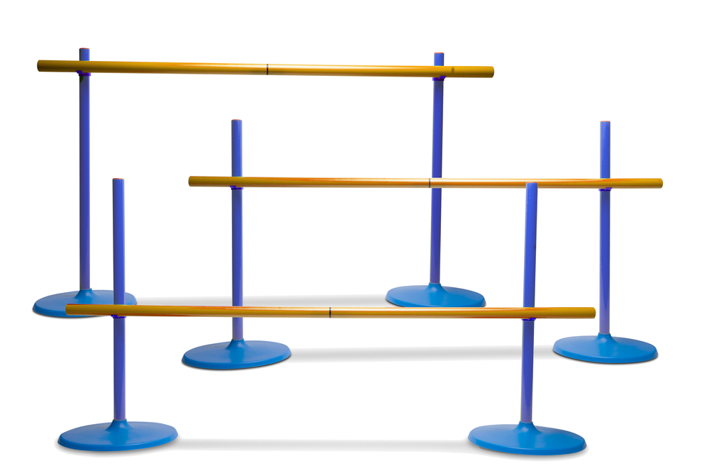 SHOW JUMPING