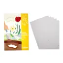 PAPIER ENSEMENCÉ, 5 FEUILLES-A4