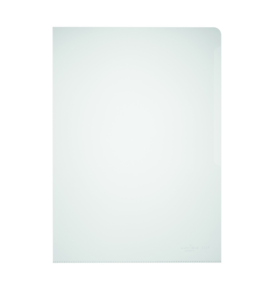 A4 COLORLESS PLASTIC FOLDER/100