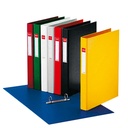 A4 2A PLASTIC BESTANDEN, GEASSORTEERDE KLEUREN, DOOS VAN 10