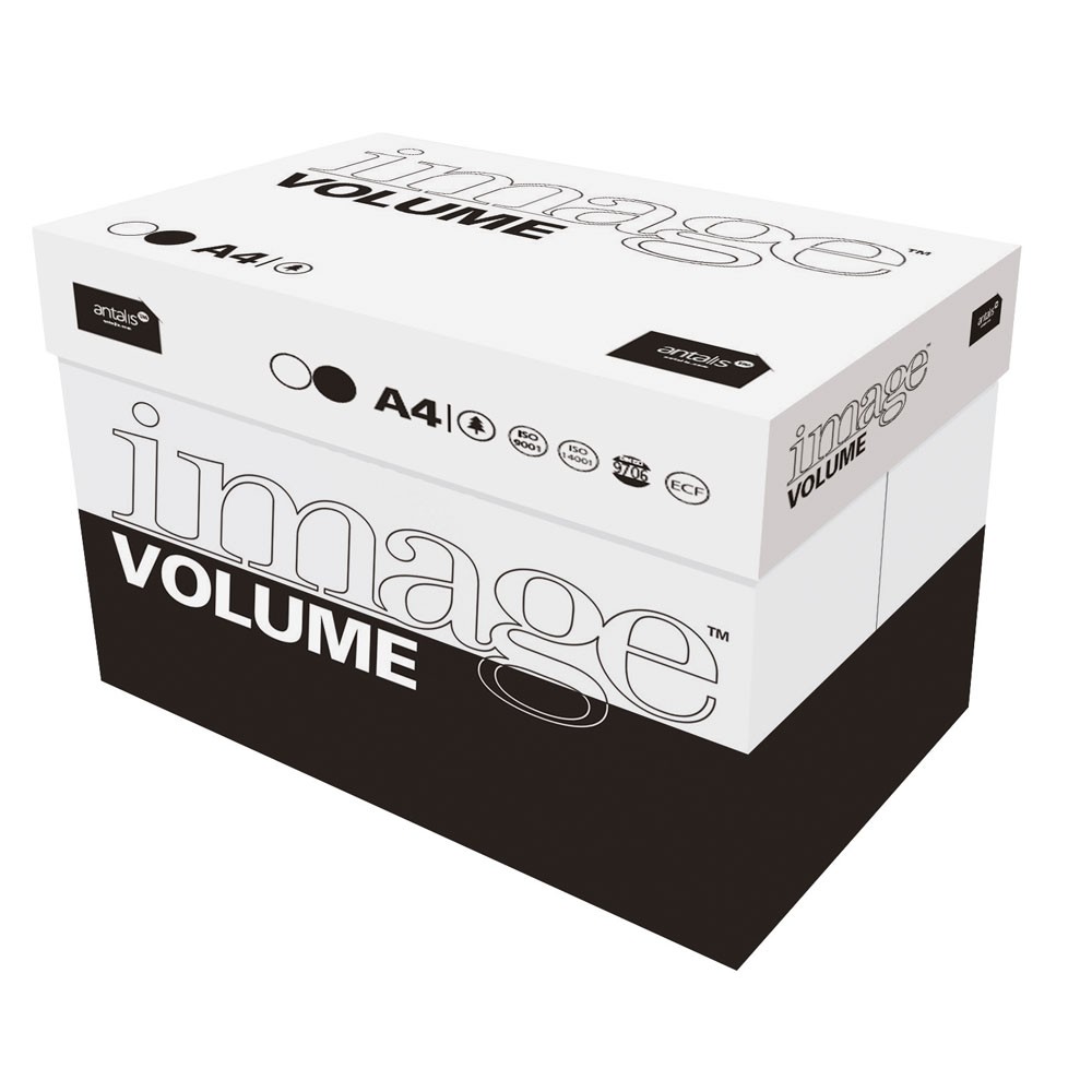 REPRO PAPIER A4 80GRS/DOOS VAN 2500F