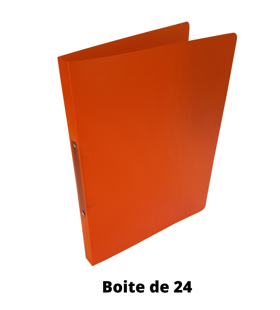 MINI 2AA4 ORANJE DOOS VAN 24