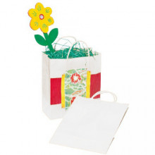WITTE KRAFT PAPIEREN TASSEN, PAK VAN 20