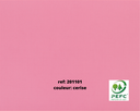 FARBIGER KARTON, 2 SEITEN, 50 x 65 cm *IN FARBE