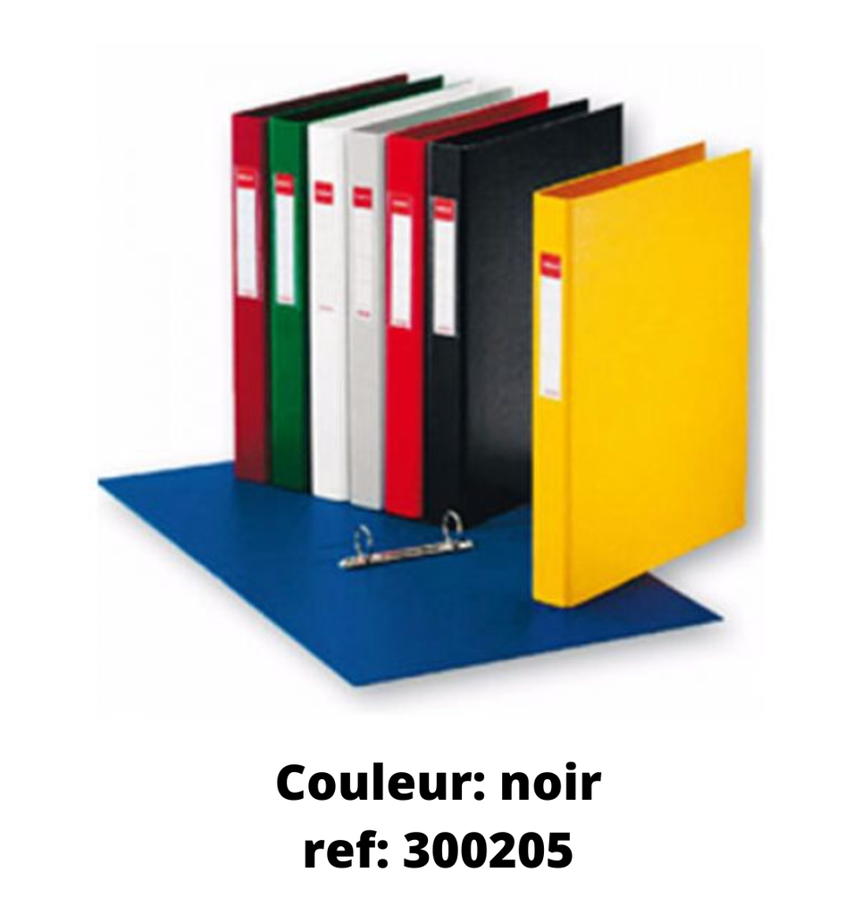 2 YEAR DIN PLASTIC BINDER *COLOR