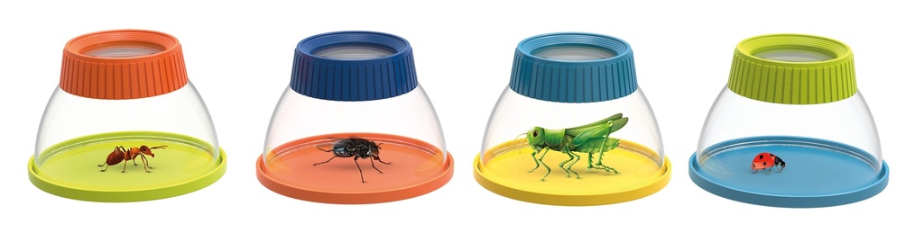 INSECTOLOUPE, LA PIECE