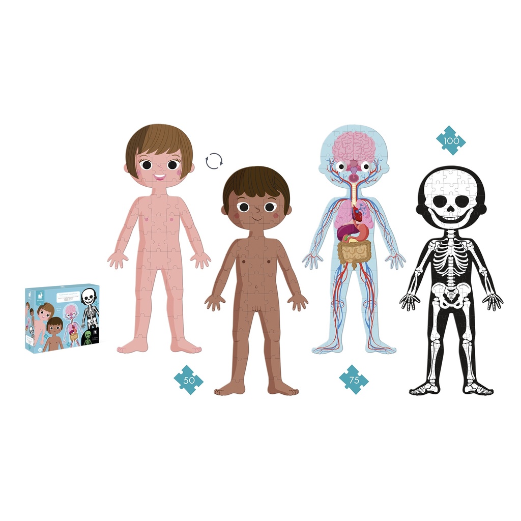 EDUCATIONAL HUMAN BODY PUZZLE, 225 PCS