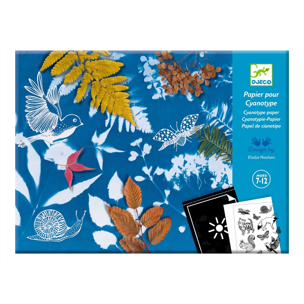 CYANOTYPE STARTER KIT