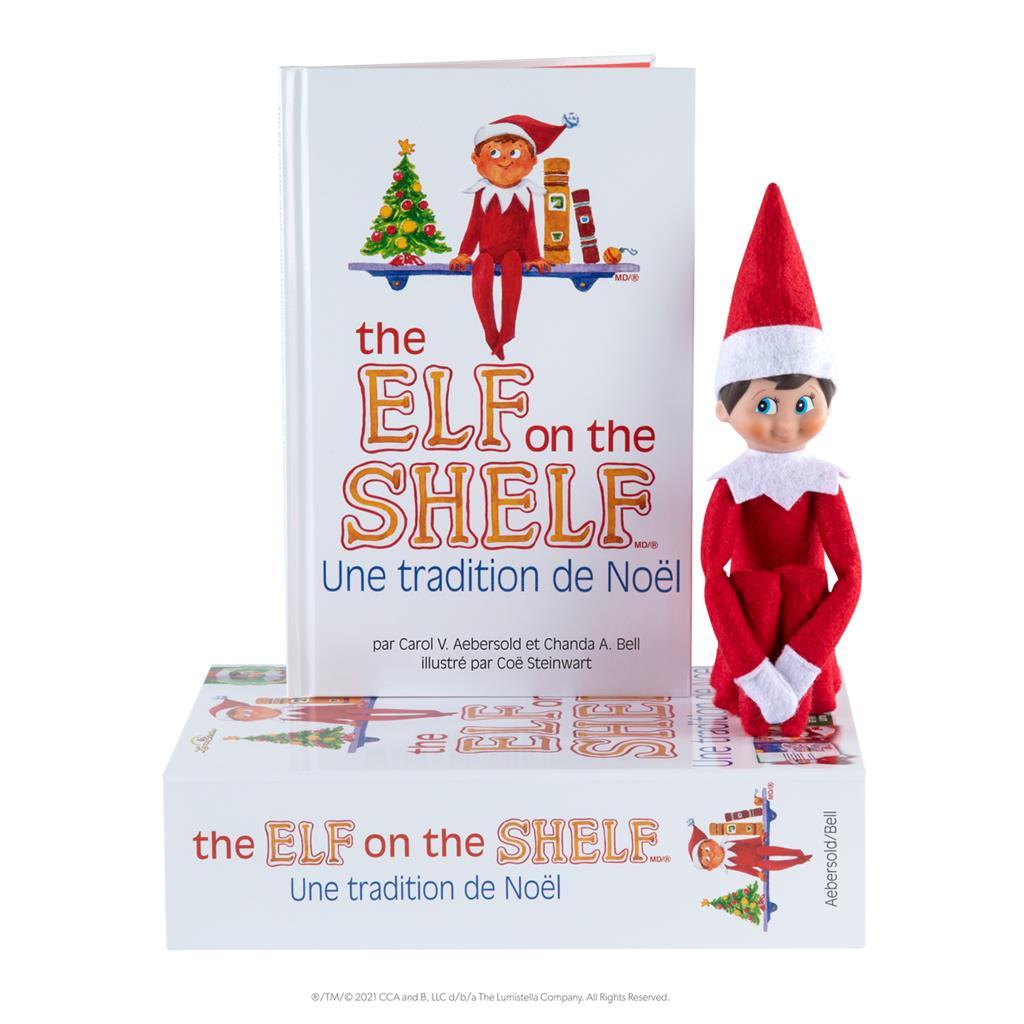 ELF IM REGAL, DER ELF UND DAS BUCH