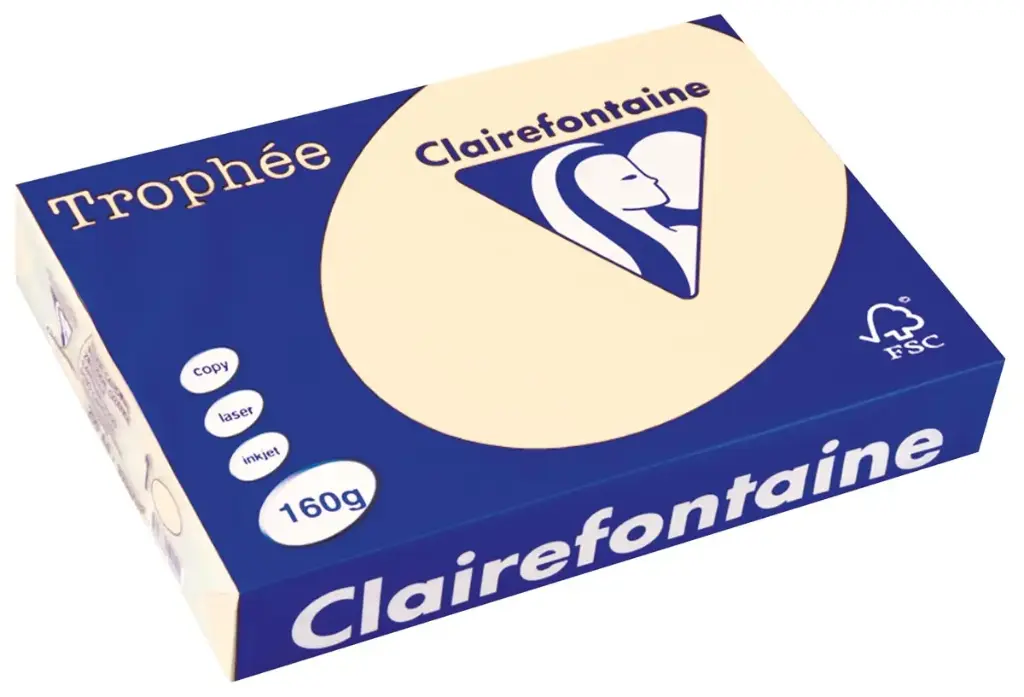 REPRO PAPIER A4 160G FELLE KLEUR /100 ORANJE