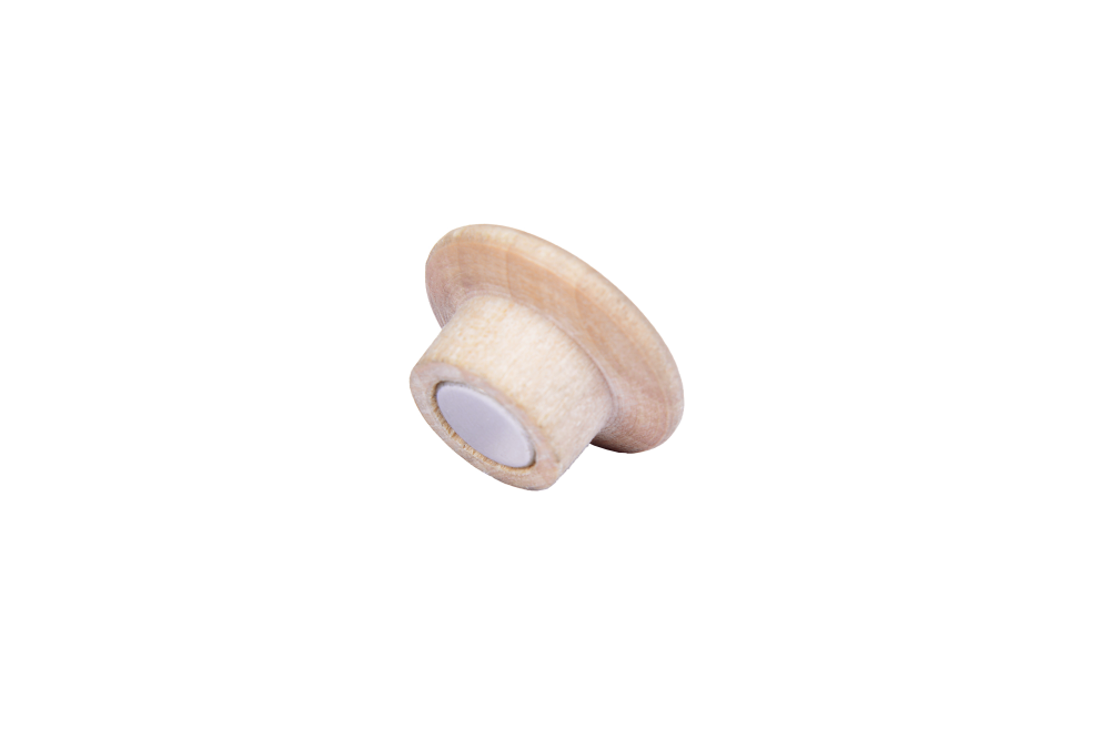 HOLZMAGNETE -25MM, 5 STK