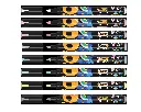 BIC INTENSITY PASTEL PAINT MARKER, BOX MIT 8 STÜCKEN