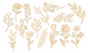 FLOWER SILHOUETTES, 13 CM