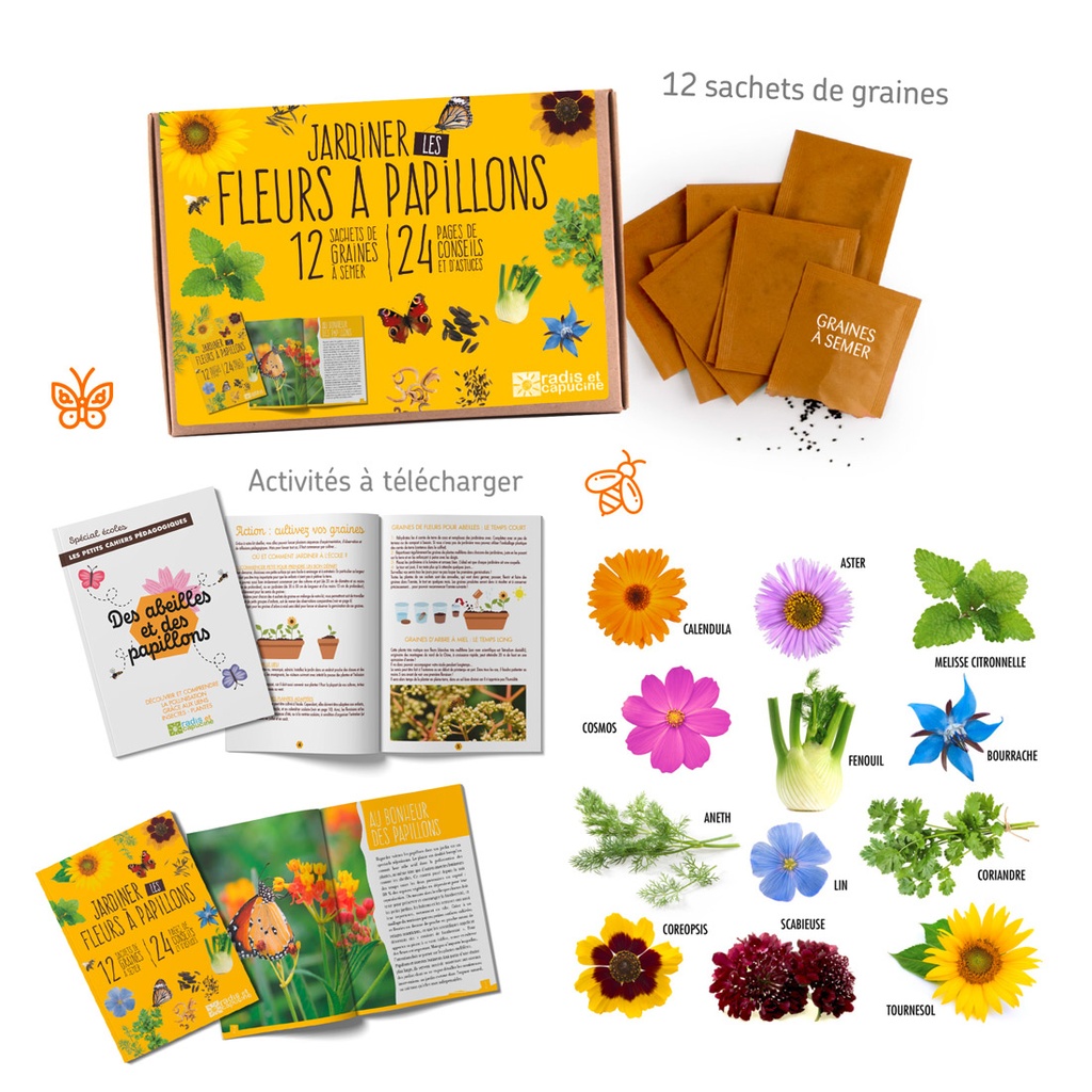 COFFRET PAPILLONS ET ABEILLES AU JARDIN