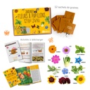 BUTTERFLIES AND BEES IN THE GARDEN BOX