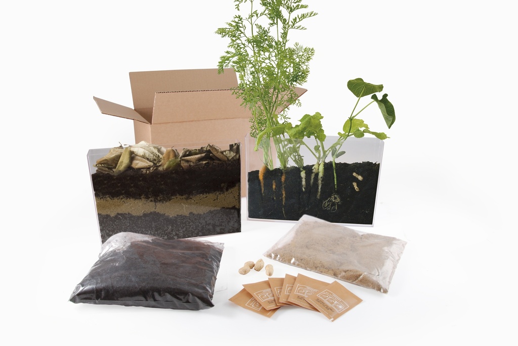DISCOVERING ROOTS AND EARTHWORMS