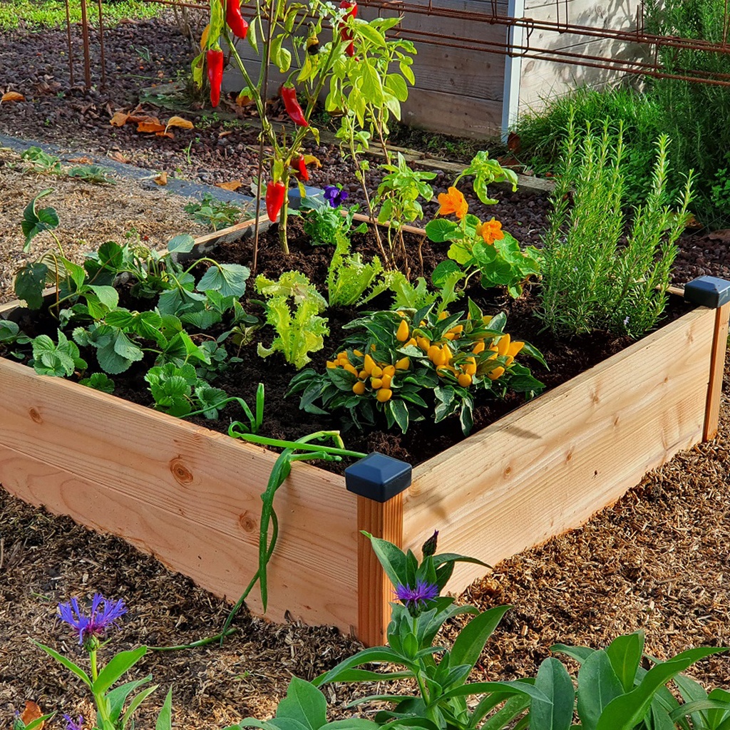 DOUGLAS WOOD VEGETABLE GARDEN, THE SCHOOL PROJECT