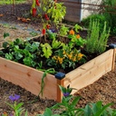 DOUGLAS WOOD MOESTUIN, HET SCHOOLPROJECT
