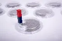 THE POWER OF MAGNETS, SET OF 10