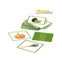 PICTURE BOOK: VEGETABLES
