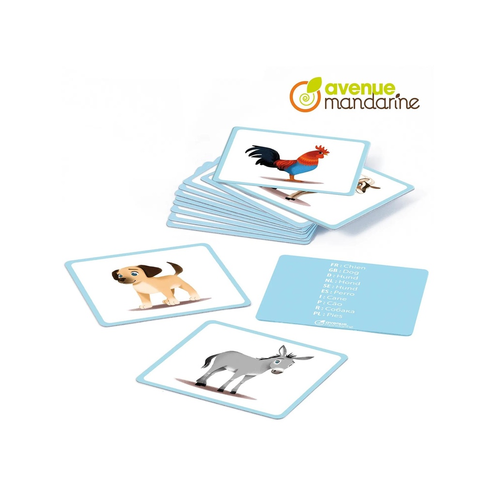 IMAGIER: LES ANIMAUX FAMILIERS